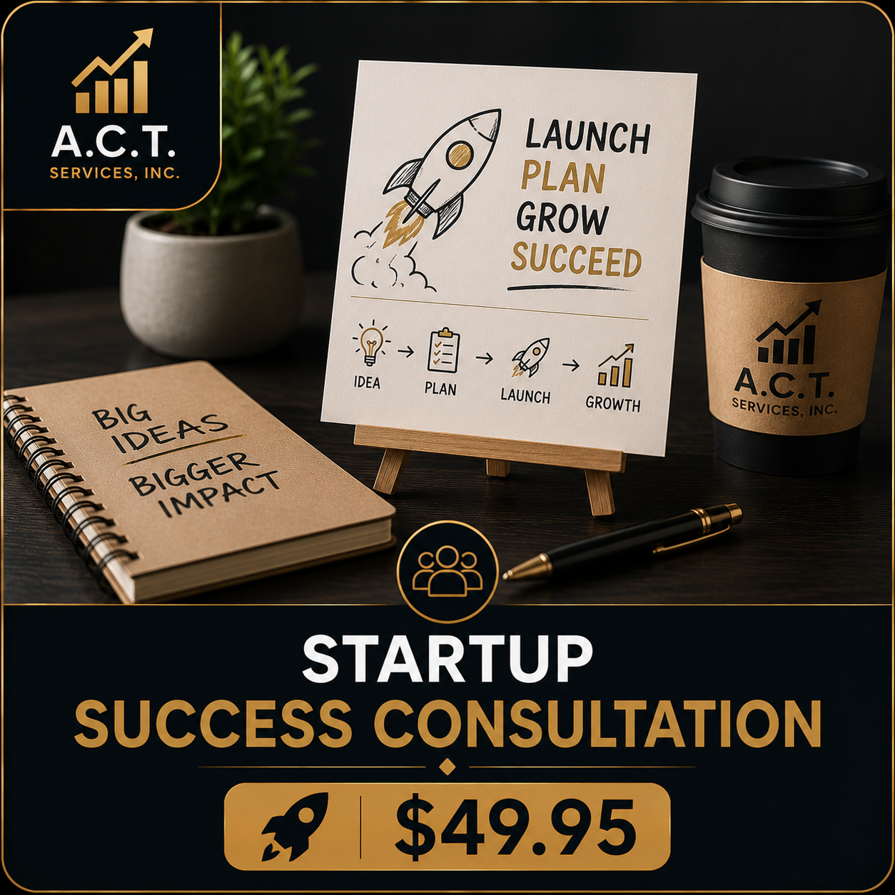 Startup Success Consultation