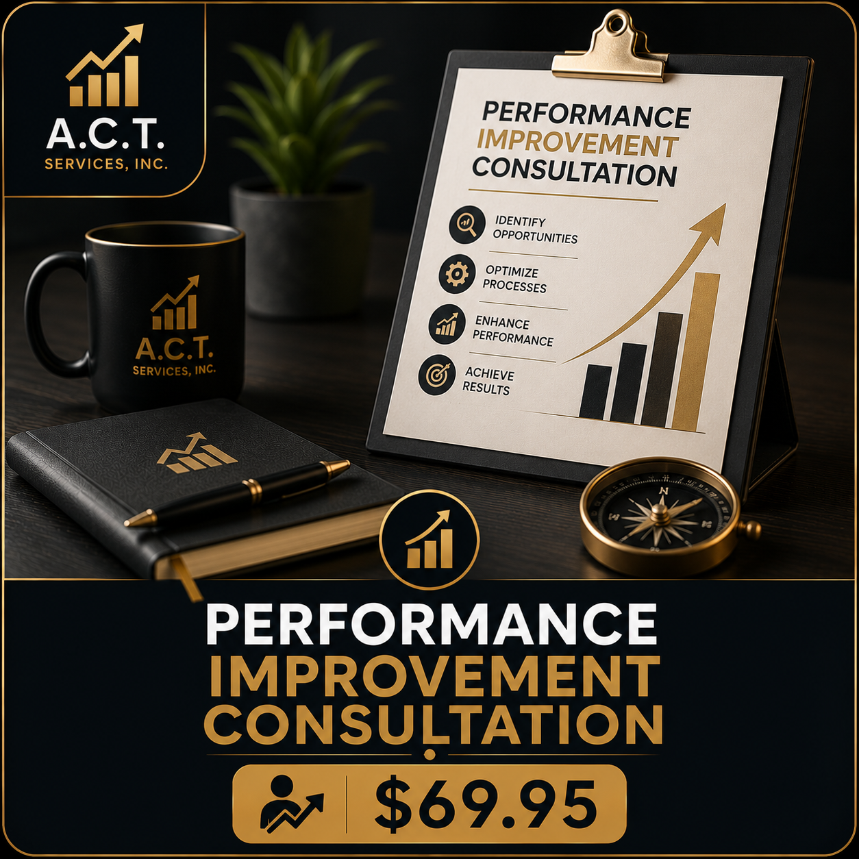 Performance Improvement Consultation